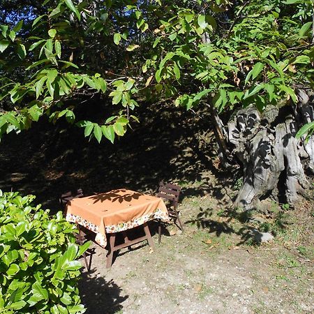 Fattoria Il Praticino Castelfranco di Sopra Exterior foto