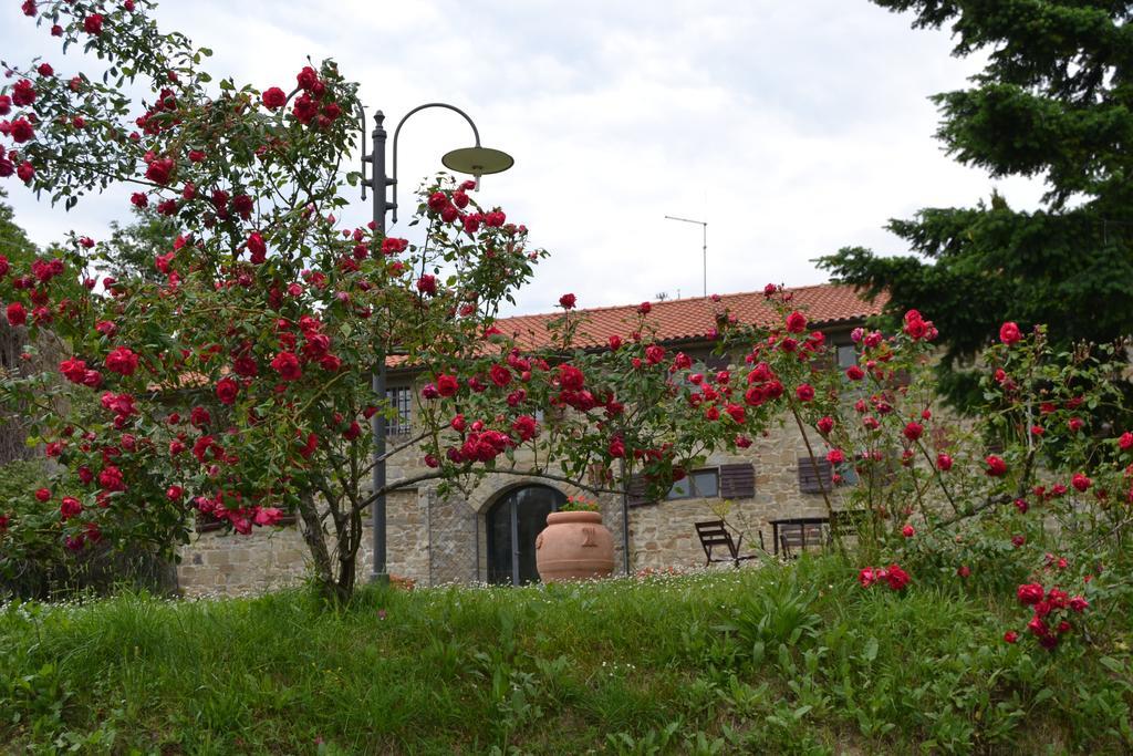 Fattoria Il Praticino Castelfranco di Sopra Exterior foto