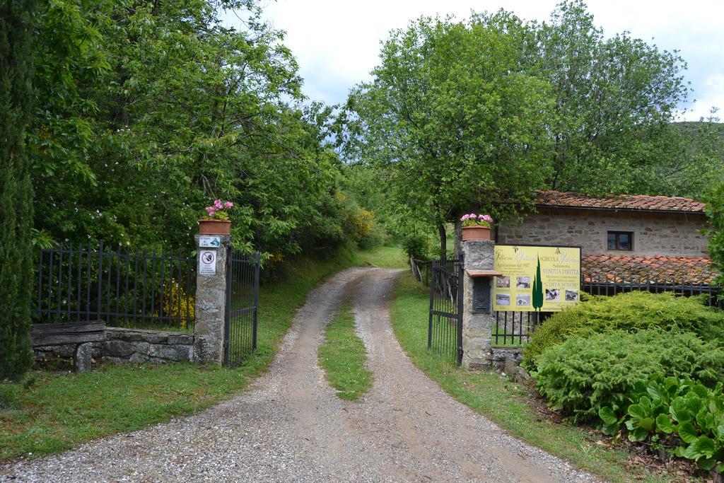 Fattoria Il Praticino Castelfranco di Sopra Exterior foto